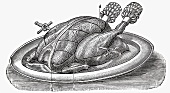 Roast turkey (Illustration)