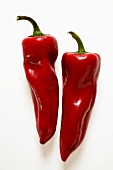 Two red pointed peppers