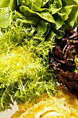 Assorted salad leaves