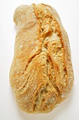 Ciabatta