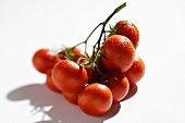 Cherry tomatoes with drops of water