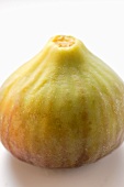 A fig