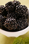 Blackberries in bowl (close-up)