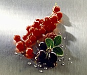 Fresh berries with drops of water and leaf