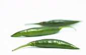 Several Bundled Green Chili Peppers