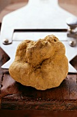 White truffle with truffle slicer