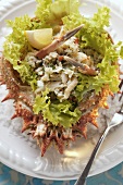 Spider crab salad on sea salt