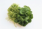 Fresh watercress