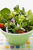 Spring salad with red onions and tomatoes in bowl