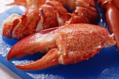 Lobster, cooked and prepared
