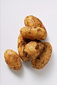 Several potatoes with soil