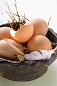 Brown eggs, eggshell & feather in wooden bowl with straw