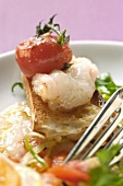 Carpaccio of raw shrimps and tomatoes with white bread