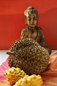 Stillleben mit Durian und Pitahayas