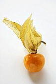 Physalis with calyx