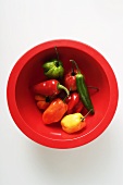 Various chili peppers in red bowl