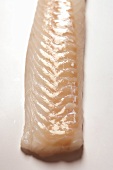 Back of a cod