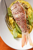 Red mullet on saffron mashed potato with celery