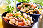 Bean salad with tomatoes, onions and peppers