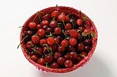 Lots of sour cherries in red basket