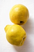 Two quinces