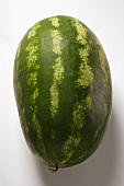 Oval watermelon