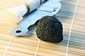 Black truffle with truffle slicer and truffle brush