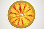 Slice of grapefruit, backlit