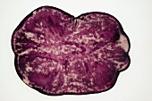 Slice of a truffle potato, backlit