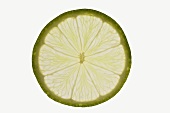 Slice of lime, backlit