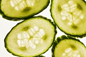 Cucumber slices, backlit