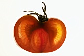 Tomatenhälfte, durchleuchtet