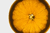 Orangenscheibe, durchleuchtet