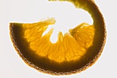 Slice of orange, back-lit