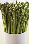 Green asparagus, in a bundle
