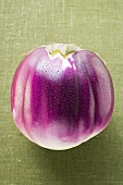 Purple Thai aubergine with drops of water