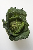 Savoy cabbage