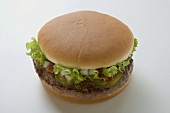 Hamburger mit Gewürzgurke, Salat, Zwiebeln und Ketchup