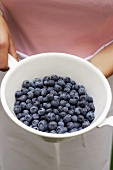 Person holding pan of fresh blueberries