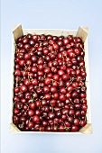 Fresh cherries in crate