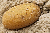 Potato on a bed of salt