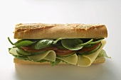 Baguette with cheese and salad