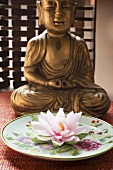 Asian plate with water lily in front of Buddha