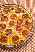 Salami and cheese pizza