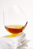 Hand in white glove holding glass of cognac