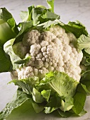 Cauliflower