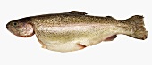 Fresh trout