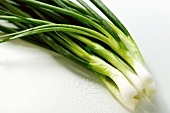 Bunch of Asian spring onions with drops of water