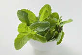 Thai mint in bowl