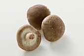 Three shiitake mushrooms